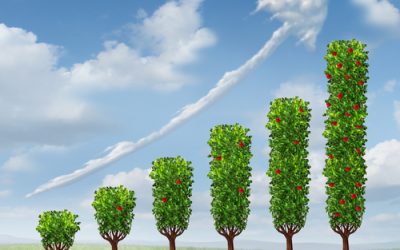 Strengthen & Grow Your Rotary Club